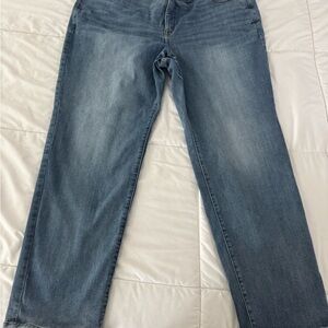 Lane Bryant Classic Denim Straight Leg Jeans